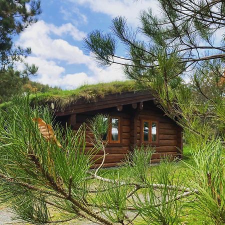 Log Home Village Ulverston Ngoại thất bức ảnh