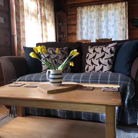 Log Home Village Ulverston Ngoại thất bức ảnh
