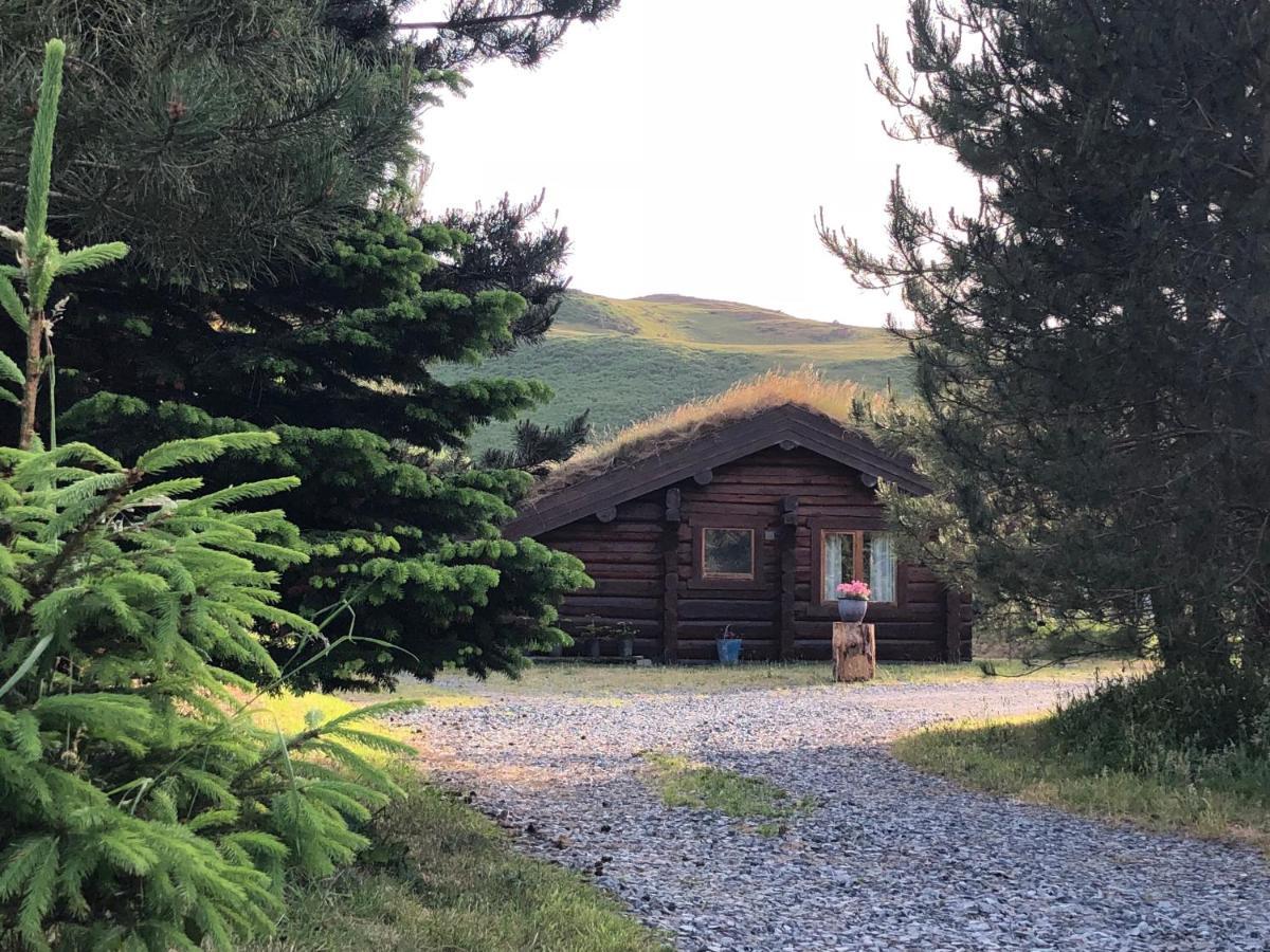Log Home Village Ulverston Ngoại thất bức ảnh