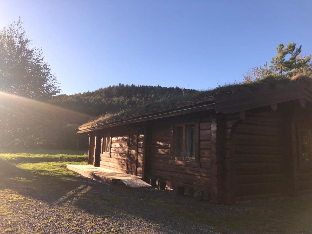 Log Home Village Ulverston Ngoại thất bức ảnh