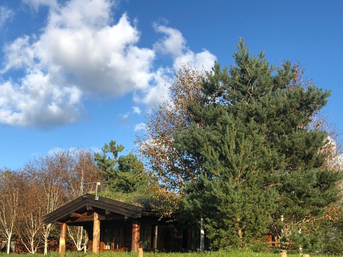 Log Home Village Ulverston Ngoại thất bức ảnh