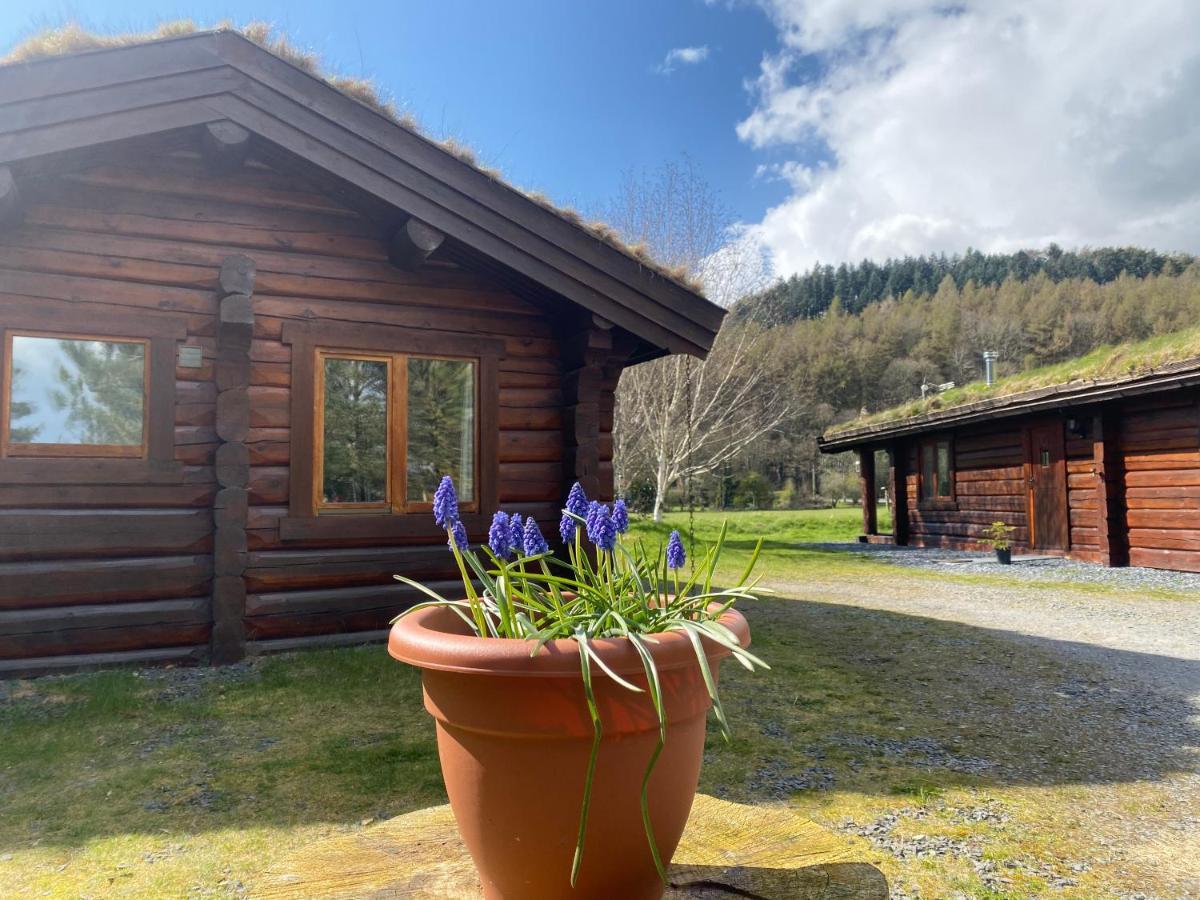 Log Home Village Ulverston Ngoại thất bức ảnh