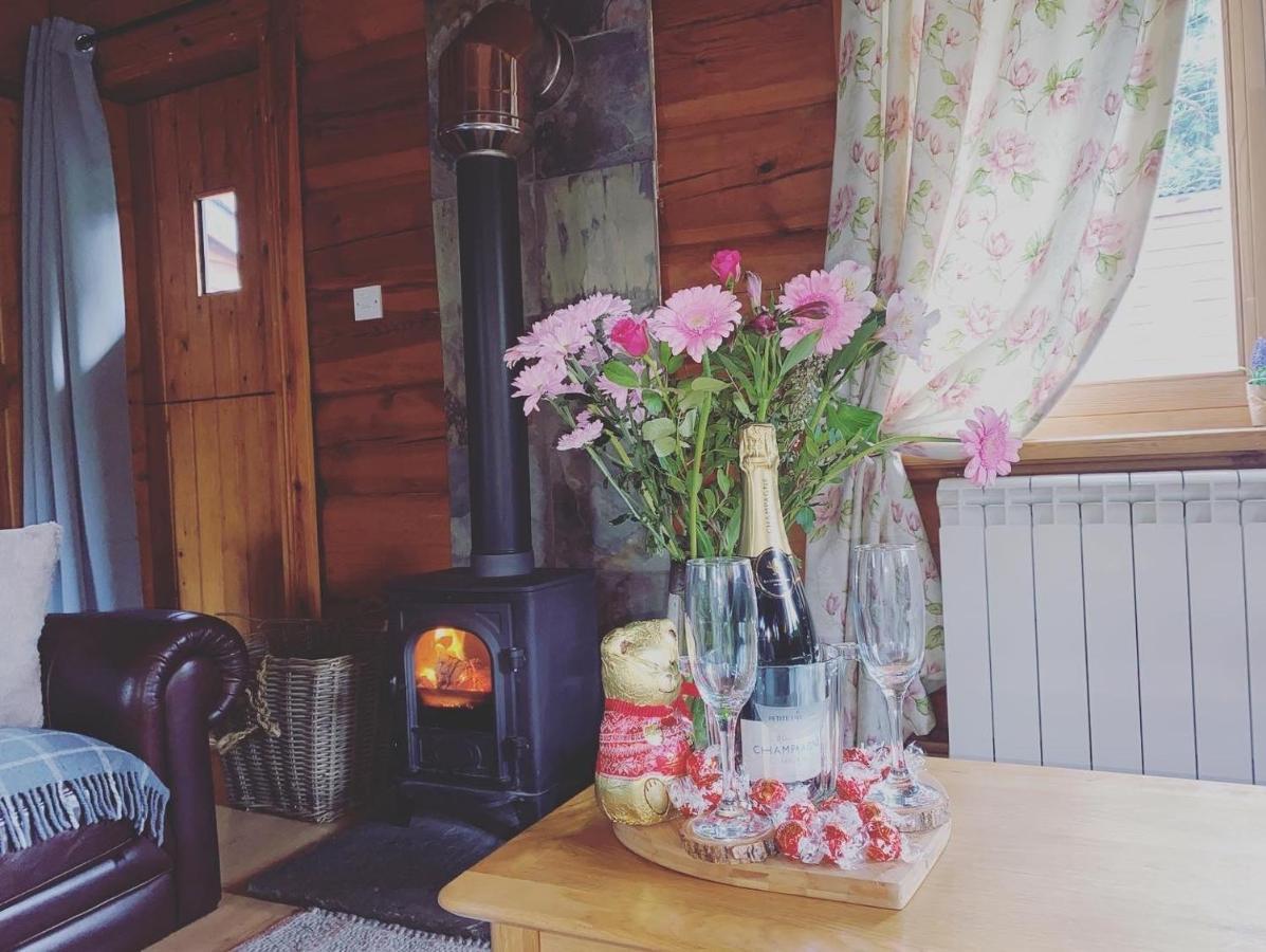 Log Home Village Ulverston Ngoại thất bức ảnh