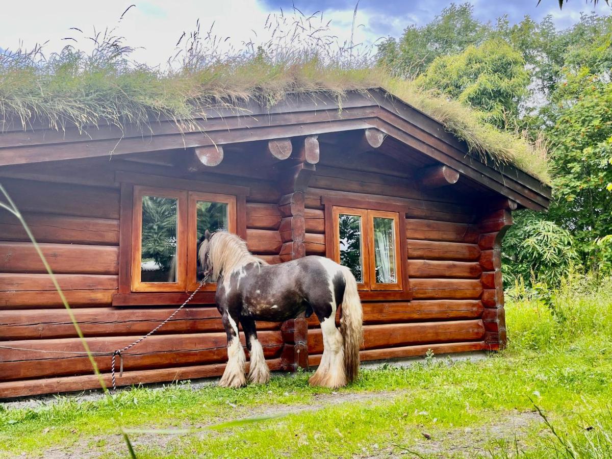 Log Home Village Ulverston Ngoại thất bức ảnh